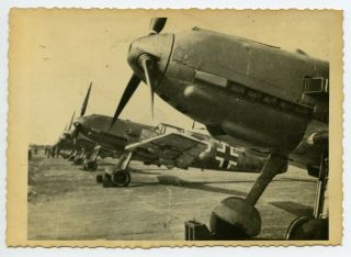 Ww2 German Noses Photo Wwii Me109 (g6)