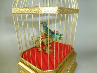 Antique German KARL GRIESBAUM Singing Bird Cage Music Box Automaton (See Video) 2