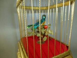Antique German KARL GRIESBAUM Singing Bird Cage Music Box Automaton (See Video) 4