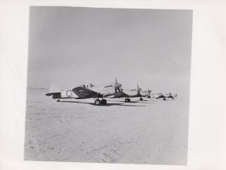 Press Photo Ww2 Curtiss P - 40 Warhawks Lined Up Western Desert 23.  10.  42