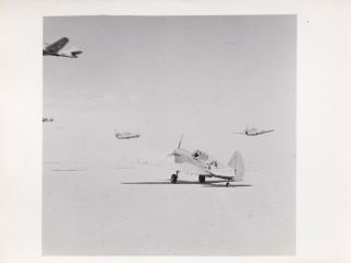 Press Photo Ww2 Curtiss P - 40 Warhawk Takes Off Western Desert 23.  10.  42