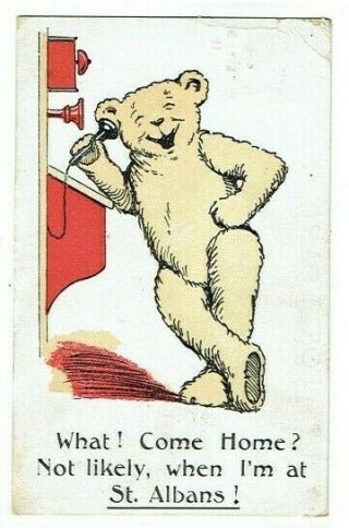 Comic Teddy Bear Postcard At St Albans Herts J.  Salmon Series Vintage 1911