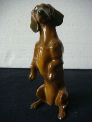 Rrr Rare Antique Rosenthal Porcelain Dachshund Germany Dog Figurine