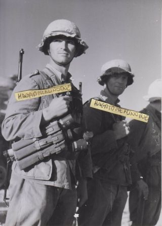 Ww2 Press Photograph Foto Photo Soldat Afrika Korps Top