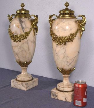 21 " Xxl Antique French Louis Xvi Gilt Bronze & Marble Urns/vases