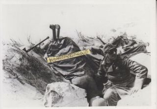 Ww2 Press Photograph Afrika Korps Stellung Top