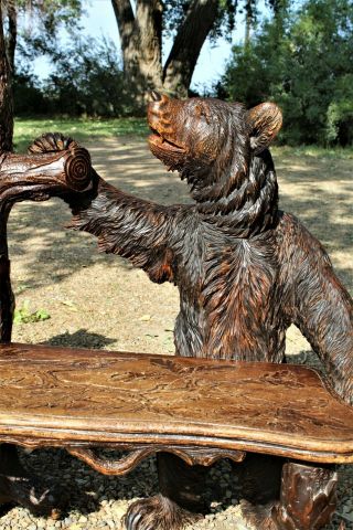 Antique - Black Forest Swiss Carved Bear Entry Bench Hall Coat Tree Mirror 6