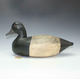 Antique Lester Dipper Ortley Carved Black Duck Decoy Point Pleasant Nj 1898 - 1978