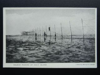 Northumberland Lindisfarne Holy Island Salmon Fishing Old Postcard By J.  Bramley