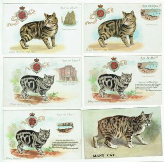 Old Postcards Isle Of Man Manx Cats Vintage House Of Keys Etc C.  1908 - 1920s