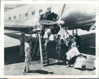 1942 World War Ii Us Air Forces North African Ferry Command Plane Press Photo