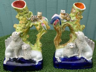 Pair: Mid 19thc Staffordshire Poodle Dogs Each With Cat,  Spill Vase C1850