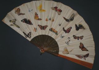 Antique French Art Nouveau Hand Painted Silk Butterfly Insects Blond Horn Fan