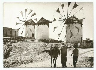 Greece Cyclades Paros Island View Of The Windmills Old Photo Postcard
