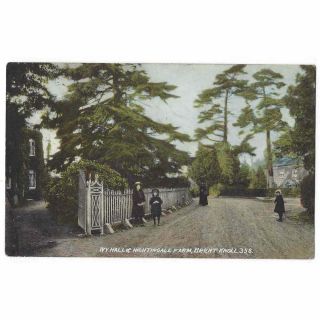 Brent Knoll Ivy Hall & Nightingale Farm,  Old Postcard Postmark Highbridge 1907