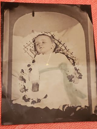 Tintype Photo Civil War Era Post - Mortem Baby Tinted Full Plate 8.  5 " Ambrotype