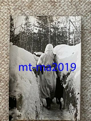 Ww2 Press Photograph - German Soldier In Winter Camouflage Clothing With Dog