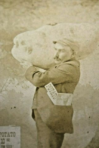 1895 Photograph Cabinet Card Of Man Holding An 86 Pound Potato Antique