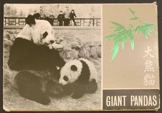 10 Vintage Postcards,  Giant Pandas,  Printed In Hong Kong,  Pre - Owned