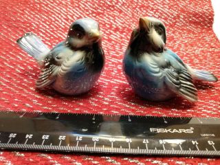 2 Birds Goebel West Germany Blue Bird Figurines Cv 72 & Cv 73 Hummel