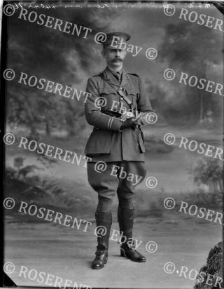 1915 The Royal Artillery - Captain A G Neesham - Glass Negative 22 By 16cm