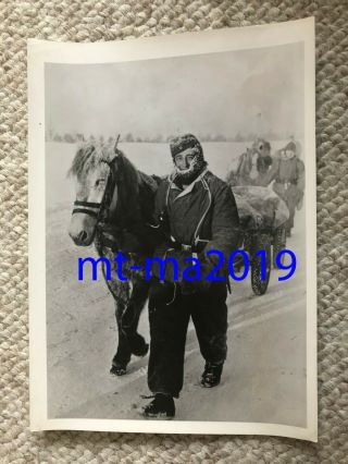 Ww2 Press Photograph German Soldier In Winter Anorak With Mule Pulling Equipment