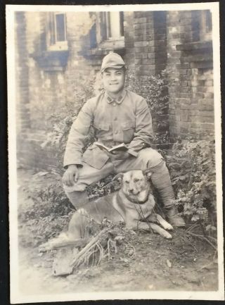 Dog Soldier Read Book Japan Ija World War Ww2 Japanese Photo