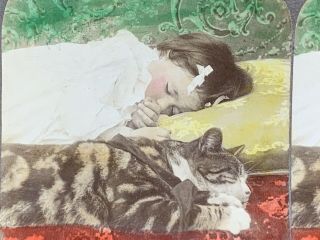 Antique Stereoview Girl Child Sleeping With Cat Victorian Old Photo