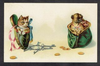 Early 1900s Artist Drawn Old Postcard Cat In Slipper Dog In Purse