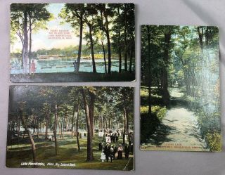 3 1910 Lake Minnetonka Big Island Park Lovers Lane Minnesota Postcard Vintage