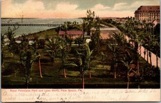 Vintage 1907 Royal Poinciana Park,  Lake Worth,  Palm Beach Florida Fl Postcard