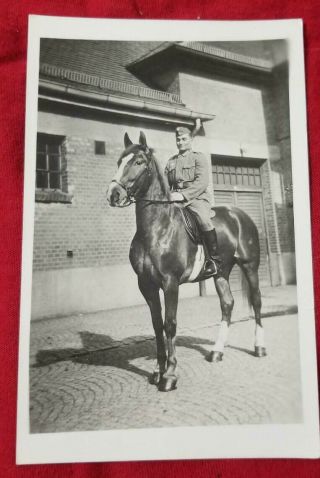 Wwii Ww2 German Military Army Soldier Horseback Photo Photograph Postcard