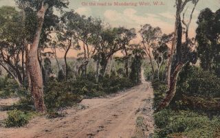 Vintage Postcard On The Road To Manduring Weir Western Australia 1900s