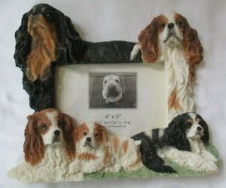 King Charles Cavalier 4 X 6 Picture Frame E&s Imports