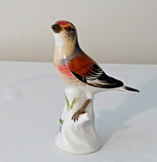 Signed Antique Meissen Bird Figurine Sitting On A Perch