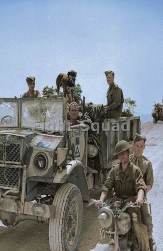 Ww2 Picture Photo Tunisia 1943 Cmp Truck And Motorcycle Of Royal Horse Arti 3476