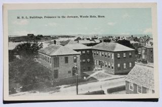 Old Postcard M.  B.  L.  Laboratory Buildings,  Penzance In The Distance Woods Hole Ma