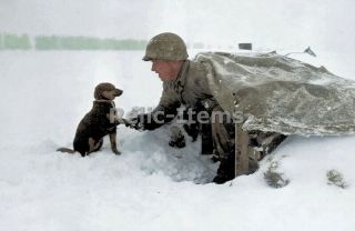 Ww2 Picture Photo Us Soldier With His Pup During The Battle Of The Bulge 0893