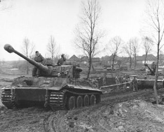 German Tiger Tanks On Eastern Front 8x10 World War 2 Wwii Photo 348