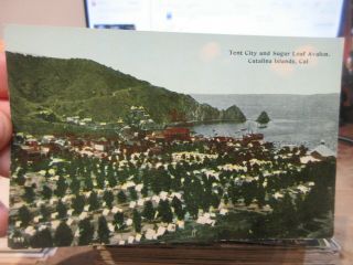 Vintage Old Postcard California Catalina Islands Tent City Sugar Loaf Avalon Bay