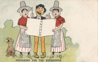Old Postcard Seaside Comic Welsh Choir Dog National Costume Eisteddfod 1900s F2