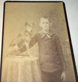 Rare Antique Victorian American Fashion Young Boy Pet Dog Nj Animal Cdv Photo