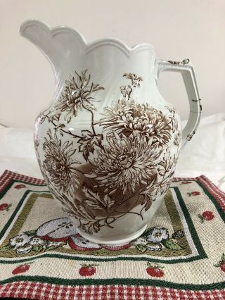 Antique Water Pitcher Clarence B P Co England Brown Transfer Ware Chrysanthemum
