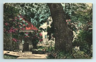 Old Oak St Helena Sanitarium Napa County California Ca Tinted Postcard