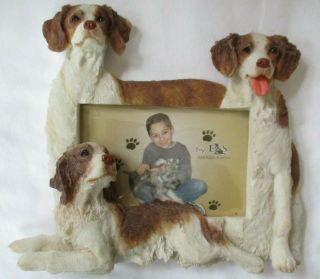 Brittany Spaniel 4 X 6 Picture Frame E&s Imports