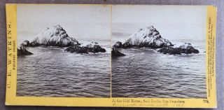California Stereoview At Cliff House Seal Rocks By Carleton Watkins 1860s