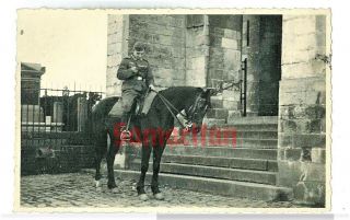 B9 Ww2 Wehrmacht German Soldier On Horse Postcard Photograph