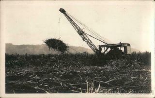 Rppc Hawaii Crane Harvesting Sugar Cane Real Photo Post Card Vintage