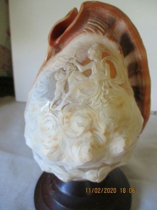 Antique Carved Sea Shell Cameo Lamp