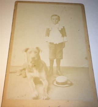 Rare Antique Victorian American Adorable Child,  Big Dog Missouri Cabinet Photo